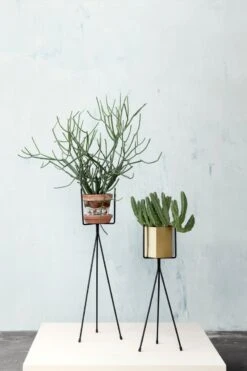 Ferm LIVING Plant Stand Kukkateline, Iso, Musta 10 Ferm LIVING Plant Stand Kukkateline, Iso, Musta -Puutarha Unelma 05 3994