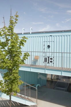 Skagerak Lilium Tuoli, Tiikki - Ruostumaton Teräs 11 Skagerak Lilium Tuoli, Tiikki - Ruostumaton Teräs -Puutarha Unelma 1420074 Lilium Chair M