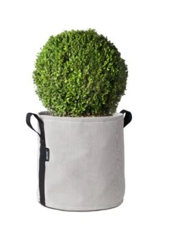 Bacsac Kangasruukku, Luonnonvalkoinen 10 Bacsac Kangasruukku, Luonnonvalkoinen -Puutarha Unelma 157346 1 Pot 25 L BACSACAE