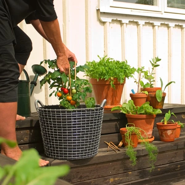 Korbo Istutuspussi 24, 3 Kpl 2 Korbo Istutuspussi 24, 3 Kpl - Image 2