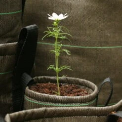 Bacsac Kangasruukku 10 L, Geotekstiili 8 Bacsac Kangasruukku 10 L, Geotekstiili -Puutarha Unelma 25Bacsac iso