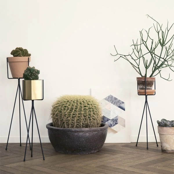 Ferm LIVING Plant Stand Kukkateline, Iso, Musta 3 Ferm LIVING Plant Stand Kukkateline, Iso, Musta - Image 3
