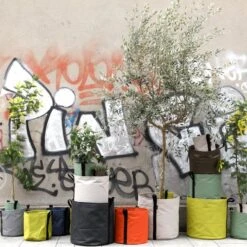 Bacsac Kangasruukku, Taupe -Puutarha Unelma 53Bacsac iso 1