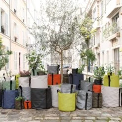 Bacsac Kangasruukku, Taupe -Puutarha Unelma 55Bacsac iso 1