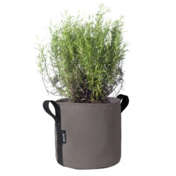 Bacsac Kangasruukku, Taupe -Puutarha Unelma 61Bacsac iso