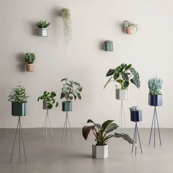 Ferm LIVING Plant Holder Kasviteline, Musta 2 Ferm LIVING Plant Holder Kasviteline, Musta - Image 2