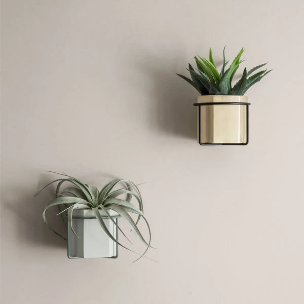 Ferm LIVING Plant Holder Kasviteline, Musta 4 Ferm LIVING Plant Holder Kasviteline, Musta - Image 4
