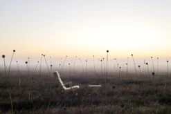 Carl Hansen & Søn BM5768 Jakkara, Tiikki - Luonnonvalkoinen -Puutarha Unelma BM5568 BM5768 teak untreated HeritagePapyrus18006