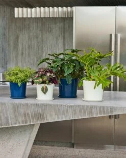 HAY Botanical Family Ruukku Ja Lautanen, L, Tummansininen 11 HAY Botanical Family Ruukku Ja Lautanen, L, Tummansininen -Puutarha Unelma Botanical Family Set M dark blue off white Botanical Family Set L dark blue off white 1