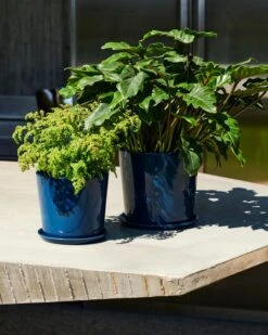 HAY Botanical Family Ruukku Ja Lautanen, XL, Tummansininen 7 HAY Botanical Family Ruukku Ja Lautanen, XL, Tummansininen -Puutarha Unelma Botanical Family Set XL dark blue Botanical Family Set L dark blue 01 1