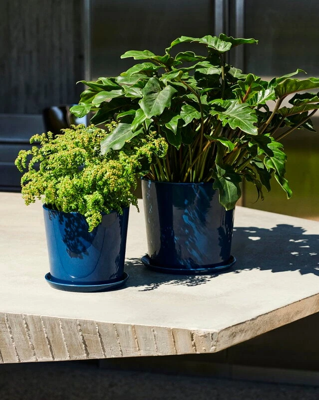 HAY Botanical Family Ruukku Ja Lautanen, XL, Tummansininen 3 HAY Botanical Family Ruukku Ja Lautanen, XL, Tummansininen - Image 3