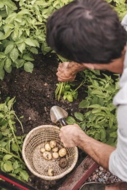 Fiskars Xact Istutuslapio, Leveä -Puutarha Unelma Fiskars Garden Action Summer Harvest Xact Trowel 1027043 01