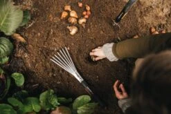 Fiskars Xact Istutustalikko -Puutarha Unelma Fiskars Garden Action Xact Trowel Hand rake 1027043 1027044 1