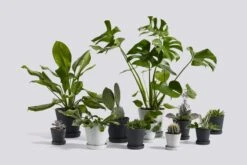 HAY Flowerpot Ruukku Ja Lautanen, M, Harmaa -Puutarha Unelma Flowerpot Family 4