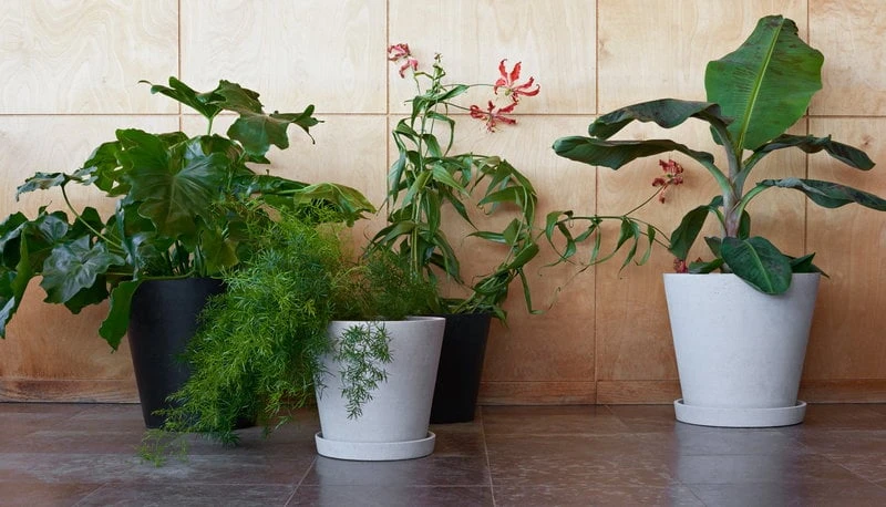 HAY Flowerpot Ruukku Ja Lautanen XXL, Musta 2 HAY Flowerpot Ruukku Ja Lautanen XXL, Musta - Image 2