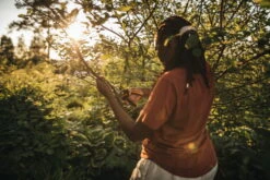 Fiskars X-Series Oksasakset L, P961 10 Fiskars X-Series Oksasakset L, P961 -Puutarha Unelma Gardening Action X Series Pruner Bypass P961 1057175 04