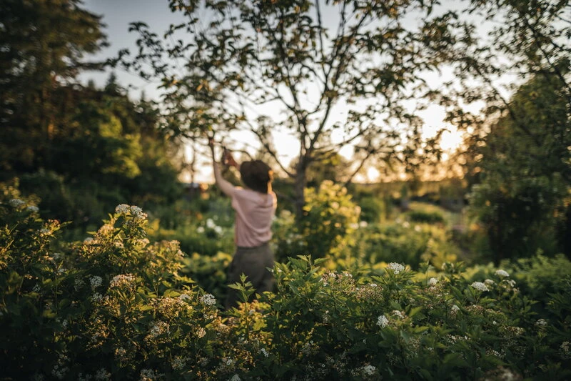 Fiskars X-Series Oksasakset L, P961 4 Fiskars X-Series Oksasakset L, P961 - Image 4