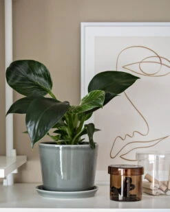 HAY Botanical Family Ruukku Ja Lautanen, M, Dusty Green -Puutarha Unelma Home Office Design Stories x My Full House 13