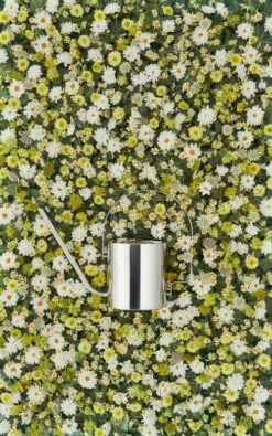 Stelton Original Kastelukannu 7 Stelton Original Kastelukannu -Puutarha Unelma LS 100 15 Original flower watering can 1 28129