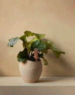 MENU Hydrous Kastelupiikki, 36 Cm, 2 Kpl -Puutarha Unelma MENU Plantas Planter Hydrous Watering Stick