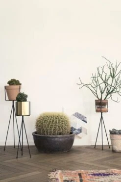 Ferm LIVING Plant Stand Kukkateline, Pieni, Musta 8 Ferm LIVING Plant Stand Kukkateline, Pieni, Musta -Puutarha Unelma R5A8359 new