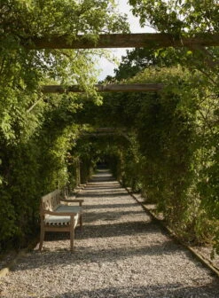 Skagerak Drachmann Istuintyyny Penkkiin, Aprikoosi - Tummanvihreä -Puutarha Unelma S1040515 1960227 Drachmann Bench 200 Drachmann Cushion 200 Light Apricot Green stripes 02 M01