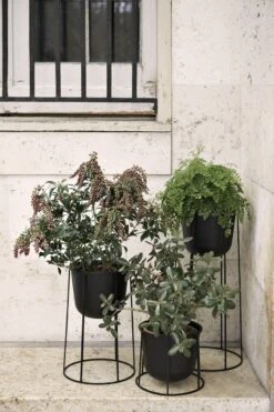 MENU Wire Ruukku, Musta 10 MENU Wire Ruukku, Musta -Puutarha Unelma Wire Pot Location 01 Download 300dpi JPG 28RGB29 228846