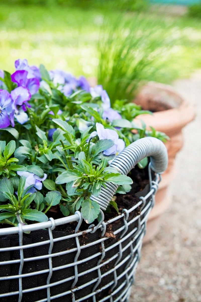 Korbo Istutuspussi 24, 3 Kpl 4 Korbo Istutuspussi 24, 3 Kpl - Image 4