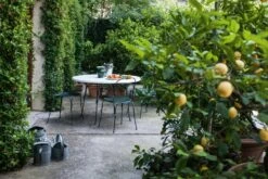 Magis Vigna Tuoli 7 Magis Vigna Tuoli -Puutarha Unelma vigna